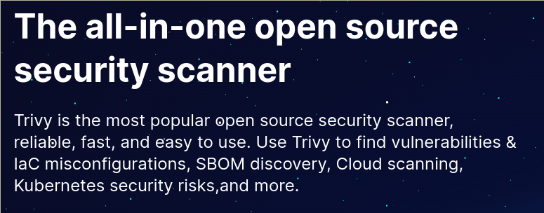 Trivy home page info screenshot
